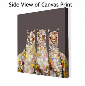 Alpaca Trio in Pewter - Canvas Giclée Print