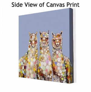 Alpaca Trio - Canvas Giclée Print