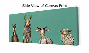 Donkey, Llama, Goat, Sheep on Teal - Canvas Giclée Print