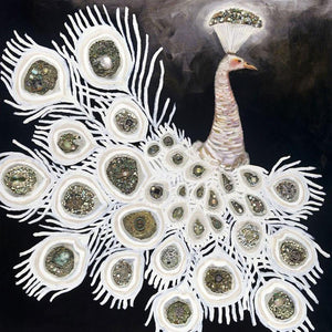 White Peacock on Black - Canvas Giclée Print