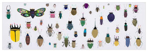 Insect Friends Detail - Canvas Giclée Print