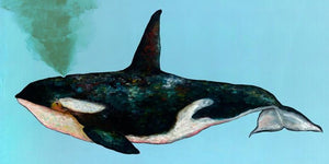 Orca - Canvas Giclée Print