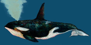 Orca on Deep Blue- Canvas Giclée Print